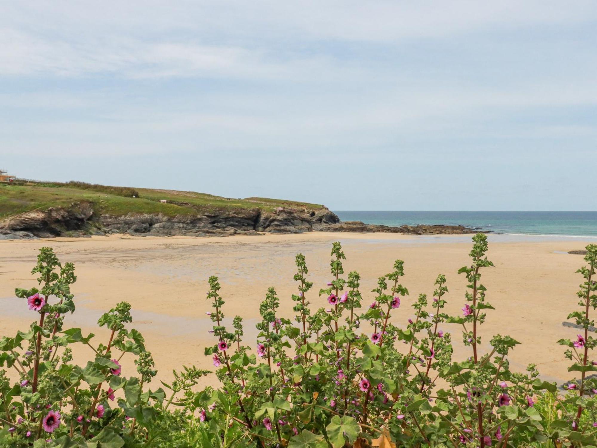 Cobalt Villa Wadebridge Exterior photo